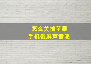 怎么关掉苹果手机截屏声音呢