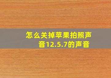 怎么关掉苹果拍照声音12.5.7的声音