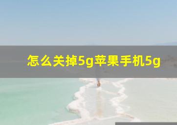 怎么关掉5g苹果手机5g