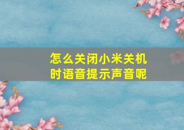 怎么关闭小米关机时语音提示声音呢