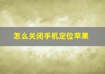 怎么关闭手机定位苹果