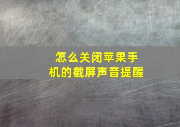 怎么关闭苹果手机的截屏声音提醒