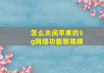 怎么关闭苹果的5g网络功能呢视频