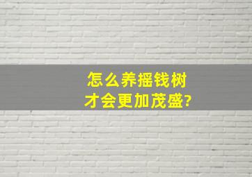 怎么养摇钱树才会更加茂盛?