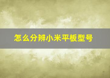 怎么分辨小米平板型号