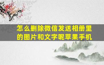 怎么删除微信发送相册里的图片和文字呢苹果手机