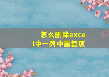 怎么删除excel中一列中重复项