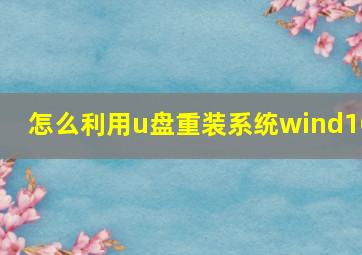 怎么利用u盘重装系统wind10