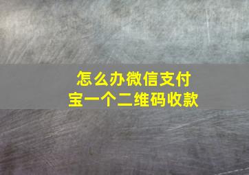 怎么办微信支付宝一个二维码收款