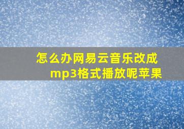 怎么办网易云音乐改成mp3格式播放呢苹果