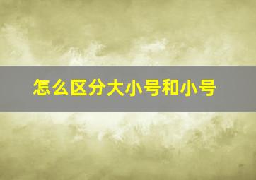 怎么区分大小号和小号