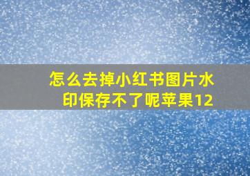 怎么去掉小红书图片水印保存不了呢苹果12