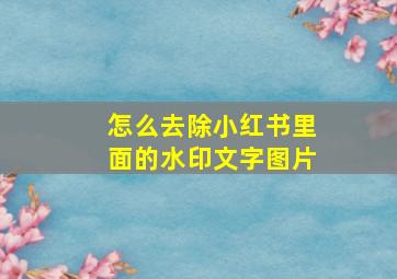 怎么去除小红书里面的水印文字图片