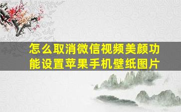 怎么取消微信视频美颜功能设置苹果手机壁纸图片