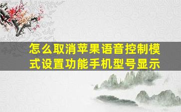 怎么取消苹果语音控制模式设置功能手机型号显示