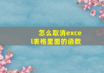 怎么取消excel表格里面的函数