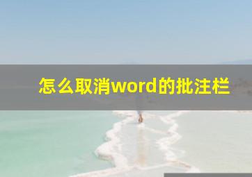 怎么取消word的批注栏