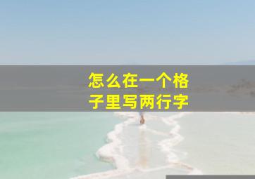 怎么在一个格子里写两行字