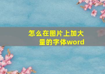 怎么在图片上加大量的字体word