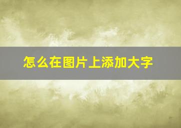 怎么在图片上添加大字