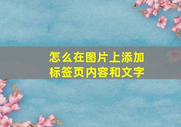 怎么在图片上添加标签页内容和文字