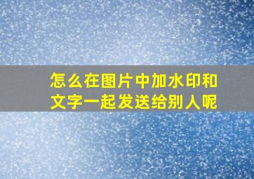 怎么在图片中加水印和文字一起发送给别人呢