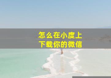 怎么在小度上下载你的微信