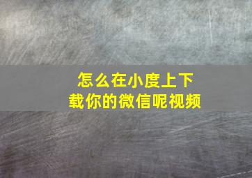 怎么在小度上下载你的微信呢视频