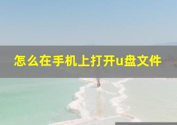 怎么在手机上打开u盘文件