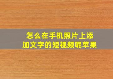 怎么在手机照片上添加文字的短视频呢苹果