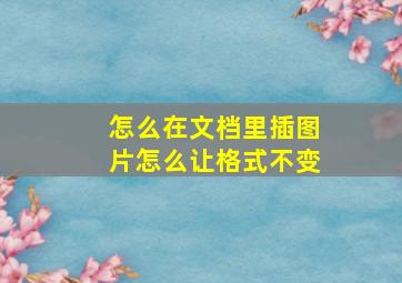 怎么在文档里插图片怎么让格式不变