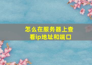 怎么在服务器上查看ip地址和端口