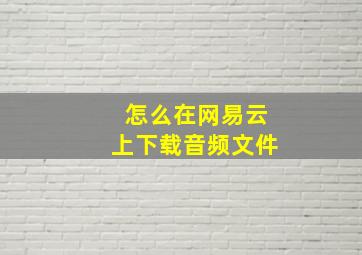 怎么在网易云上下载音频文件