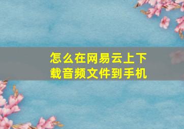 怎么在网易云上下载音频文件到手机