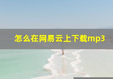 怎么在网易云上下载mp3