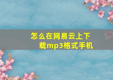 怎么在网易云上下载mp3格式手机