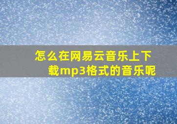 怎么在网易云音乐上下载mp3格式的音乐呢