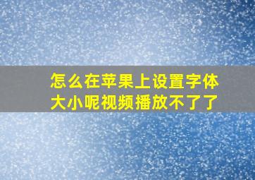 怎么在苹果上设置字体大小呢视频播放不了了