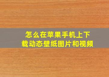 怎么在苹果手机上下载动态壁纸图片和视频