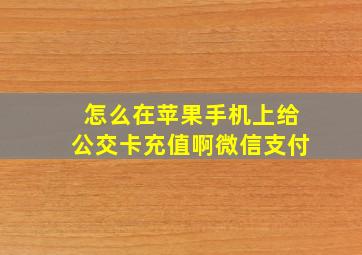 怎么在苹果手机上给公交卡充值啊微信支付