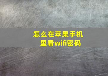 怎么在苹果手机里看wifi密码