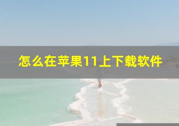 怎么在苹果11上下载软件