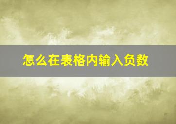 怎么在表格内输入负数