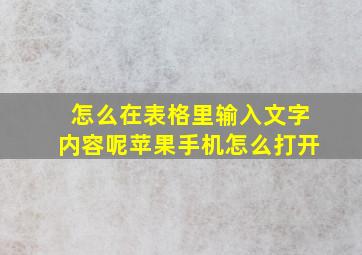 怎么在表格里输入文字内容呢苹果手机怎么打开