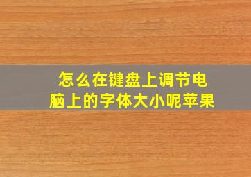 怎么在键盘上调节电脑上的字体大小呢苹果