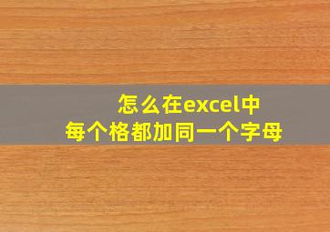 怎么在excel中每个格都加同一个字母