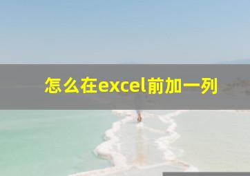 怎么在excel前加一列