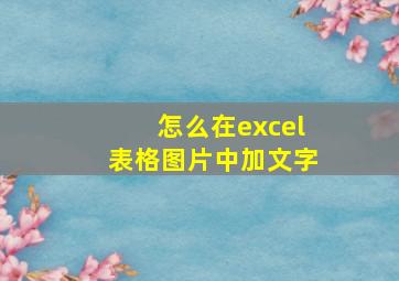 怎么在excel表格图片中加文字