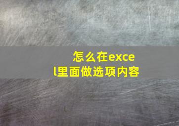 怎么在excel里面做选项内容