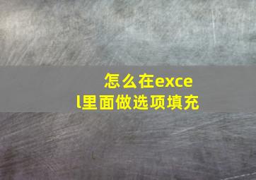 怎么在excel里面做选项填充